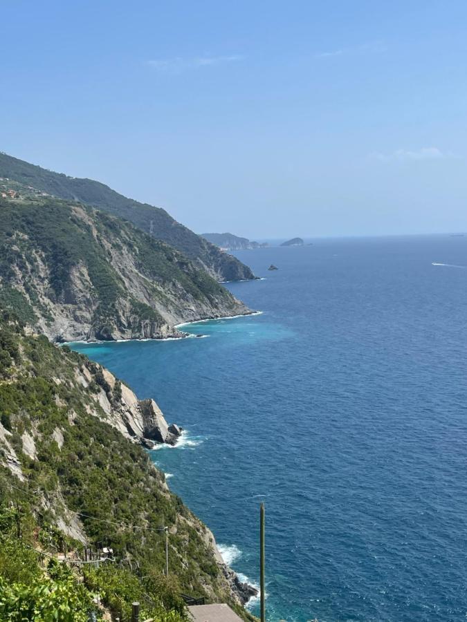La Grigua Blu Daire Riomaggiore Dış mekan fotoğraf